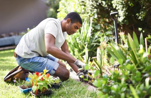 Cropped shot of a handsome young man gardening