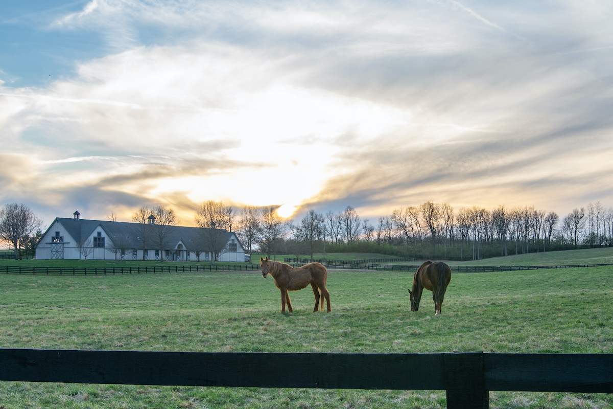 Just outside Nicholasville, Kentucky