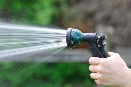 hand holding hose spraying water