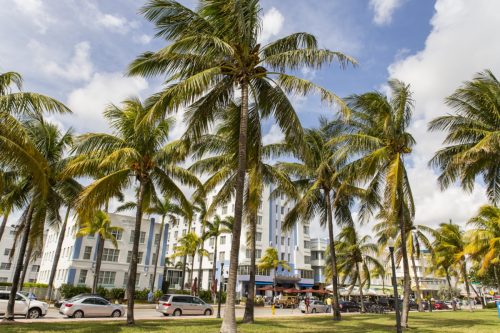 photo of Miami Beach, an city near Pinecrest, Florida