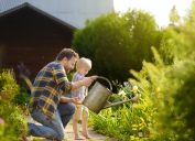 middle age man and his little son watering flowers in the garden at summer sunny day. Gardening activity with little kid and family