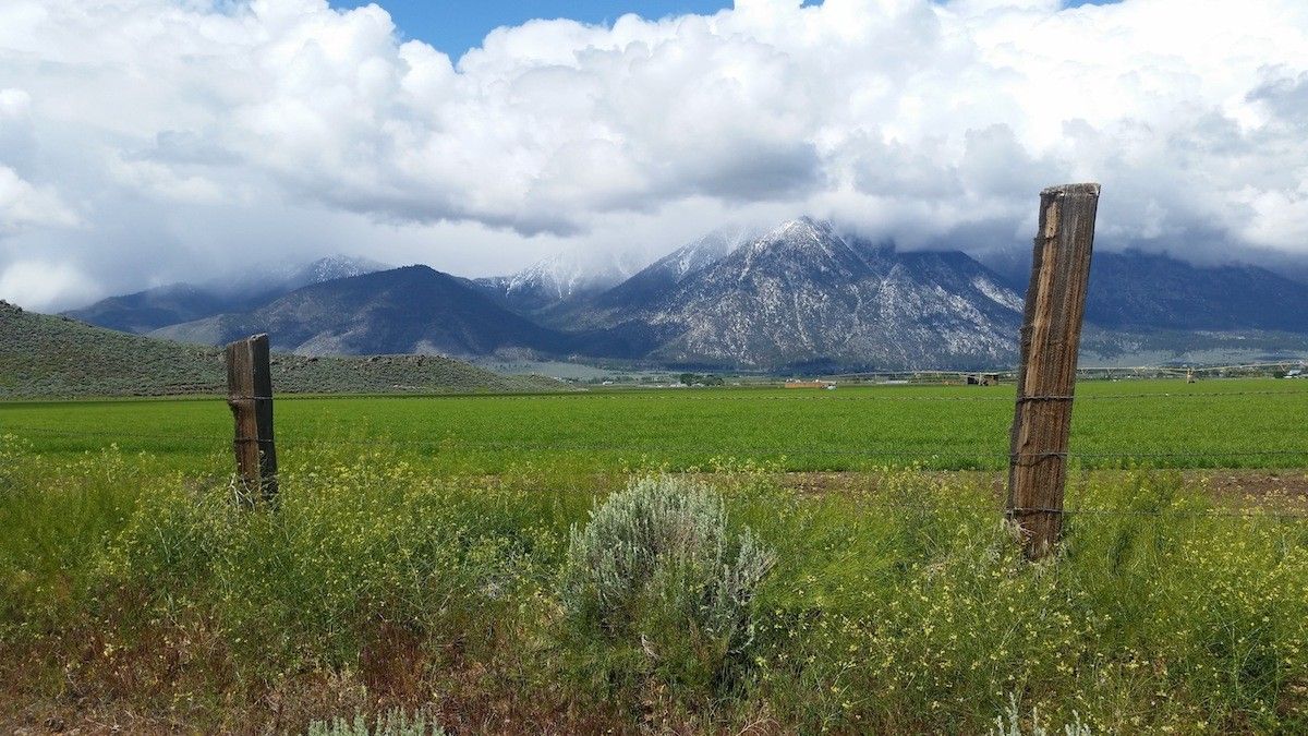 Gardnerville Ranchos, Nevada