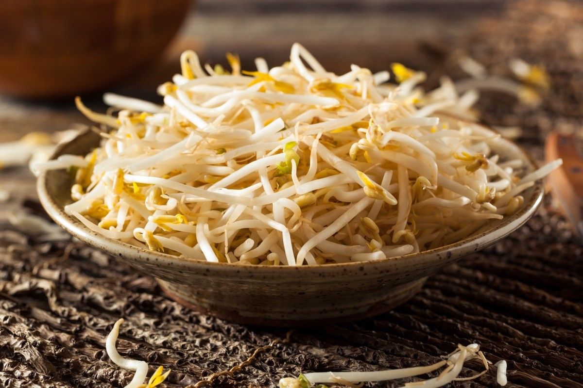 Raw Healthy White Bean Sprouts Ready for Cooking