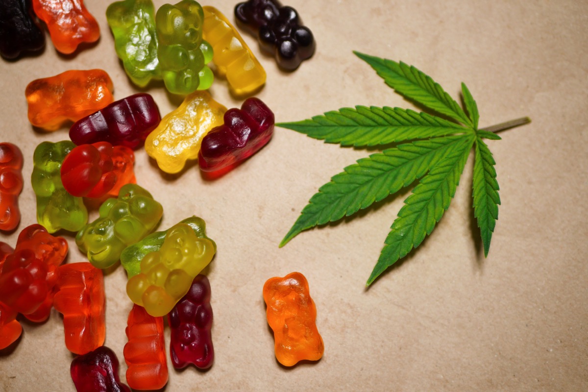 Marijuana edible gummy bears