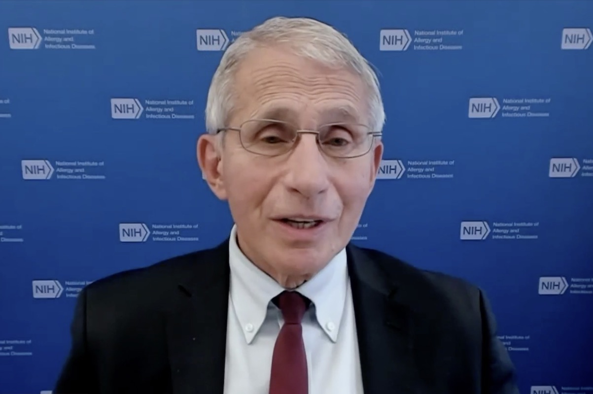 Fauci discusses Moderna booster on MSNBC on Sept. 30
