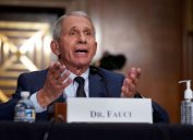 Dr. Anthony Fauci speaking at a senate hearing