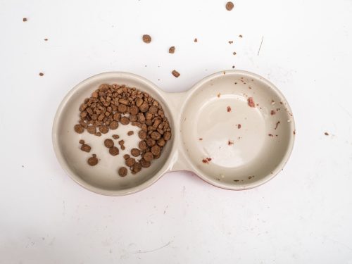 Bowls of food on a white surface dirty with cat debris, cat food and muddy paw prints