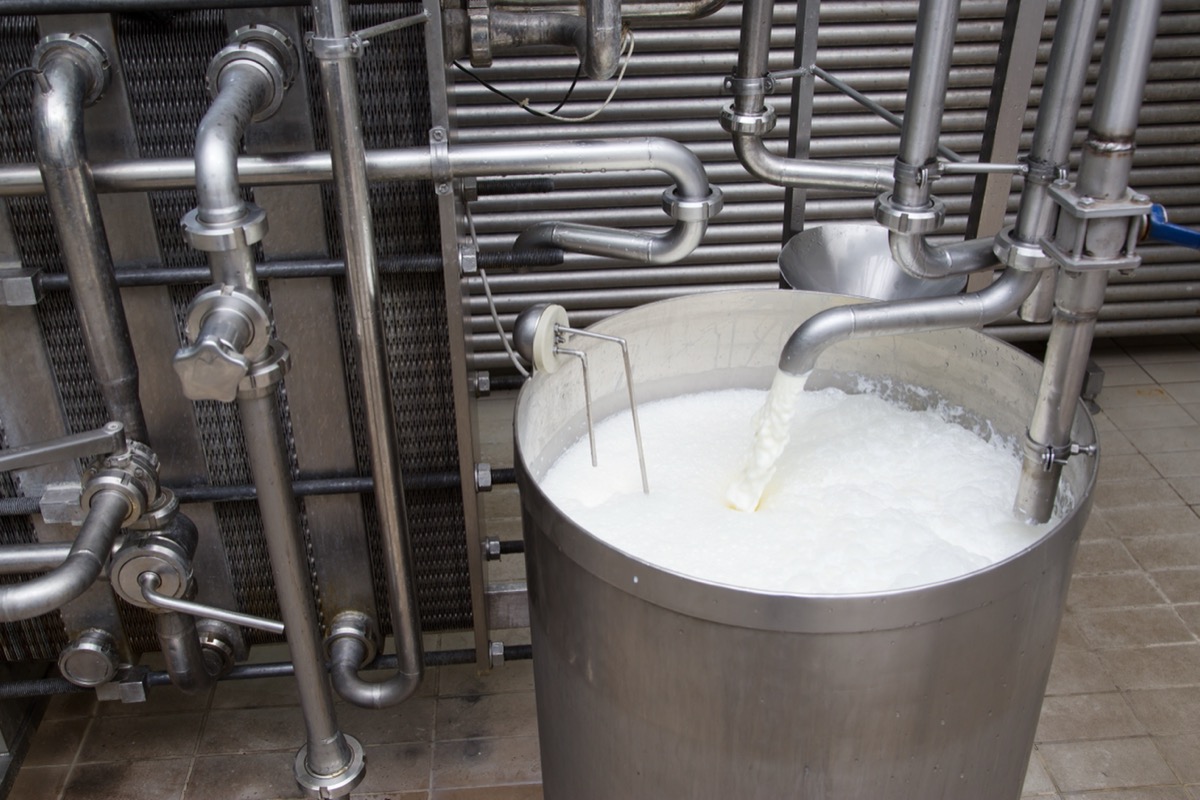 milk being pasteurized in factory tank