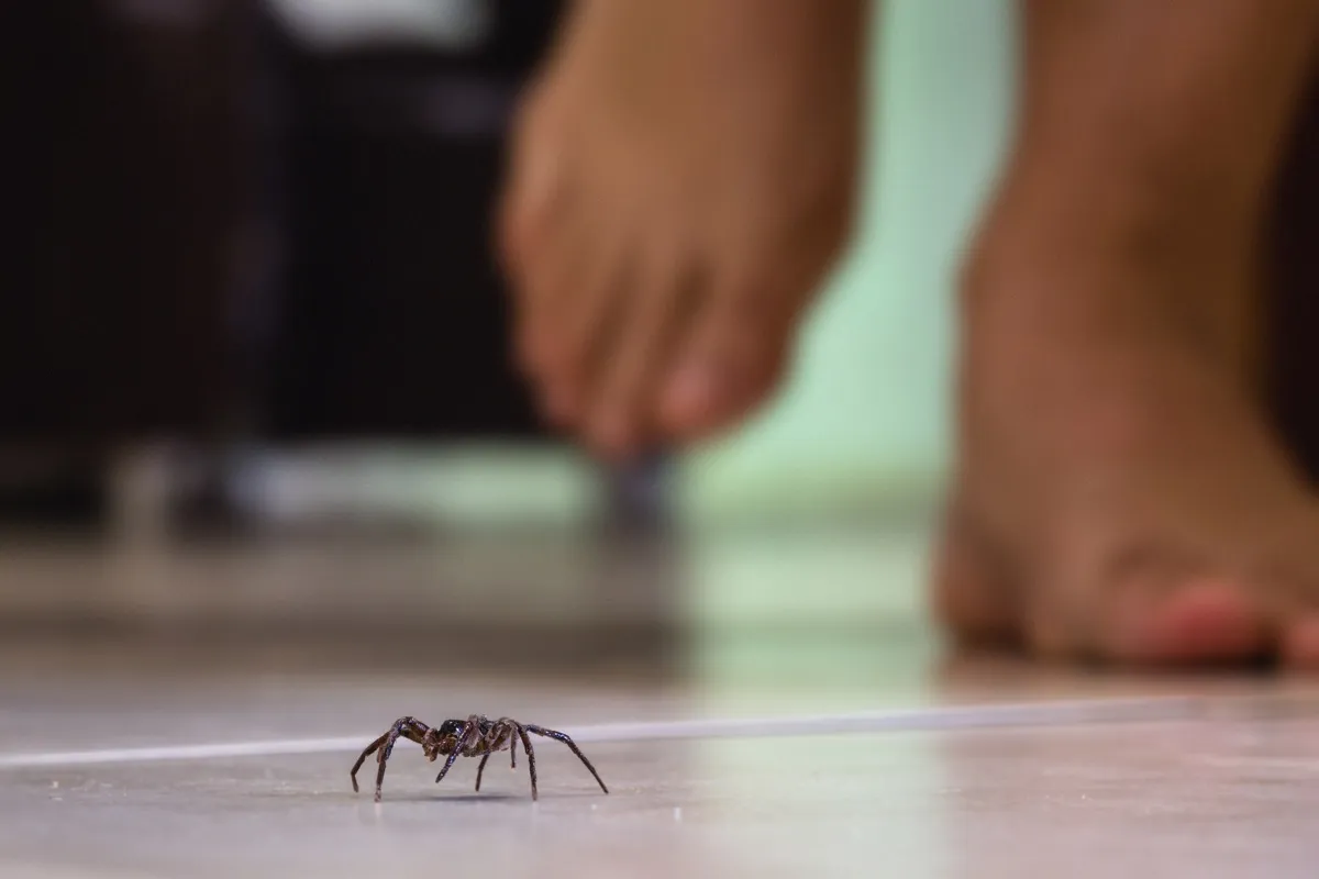 Barfüßige Person, die auf Reifenboden mit Spinne vor ihm läuft