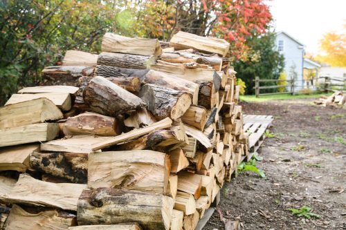 A woodpile on palates behind a house