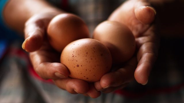Woman's hands holding eggs