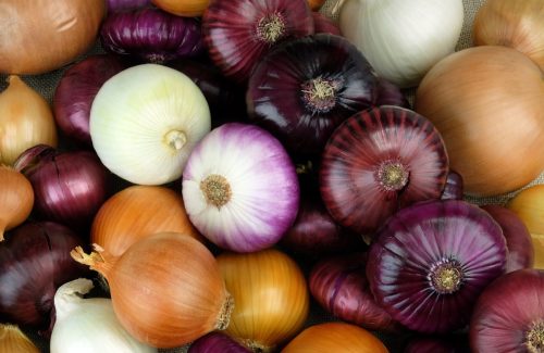 Onions of different varieties