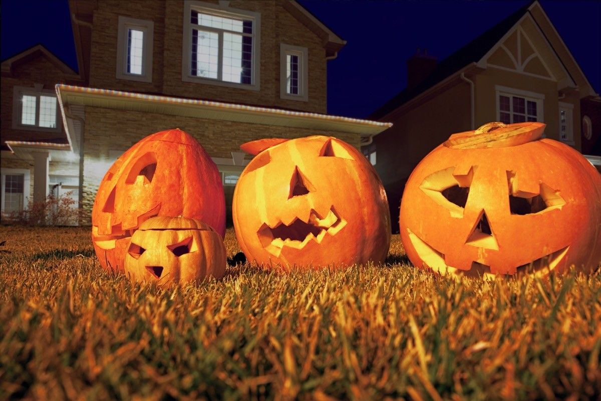 10 fun facts you didn't know about Halloween