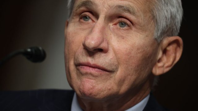 close up of anthony fauci testifying in front of the senate