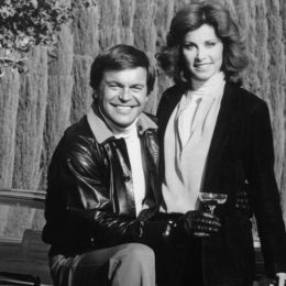 Robert Wagner and Stefanie Powers in Hart to Hart