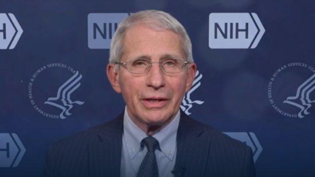 fauci during an interview on the news with Shepard Smith