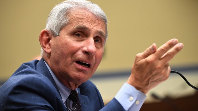 Dr. Anthony Fauci, director of the National Institute for Allergy and Infectious Diseases, testifies before a House Subcommittee on the Coronavirus Crisis hearing