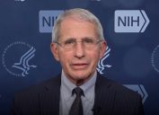 Dr. Anthony Fauci appearing on The News With Shepard Smith on Nov. 16, 2021
