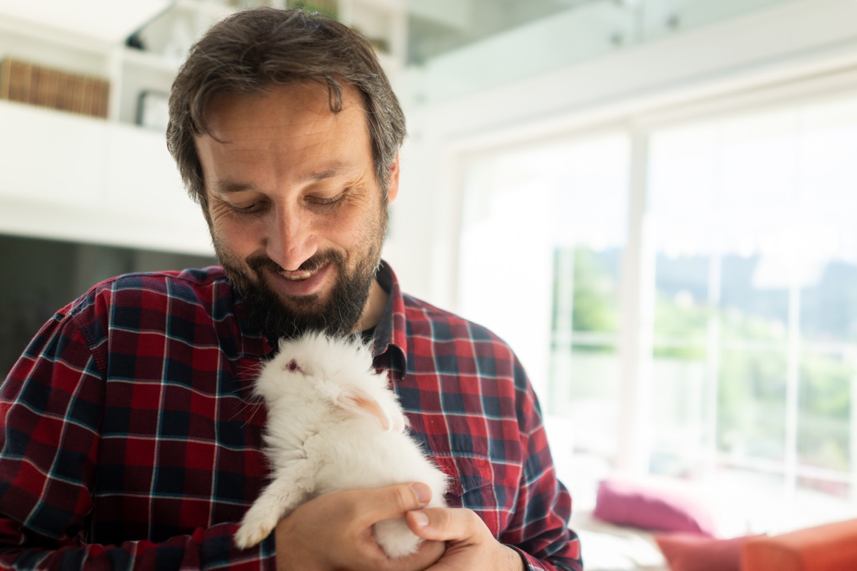 man in red plaid shirt holding fluffy white rabbit