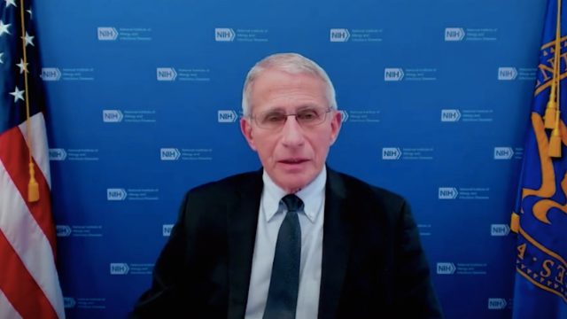 Anthony Fauci during a Nov. 10 White House COVID briefing