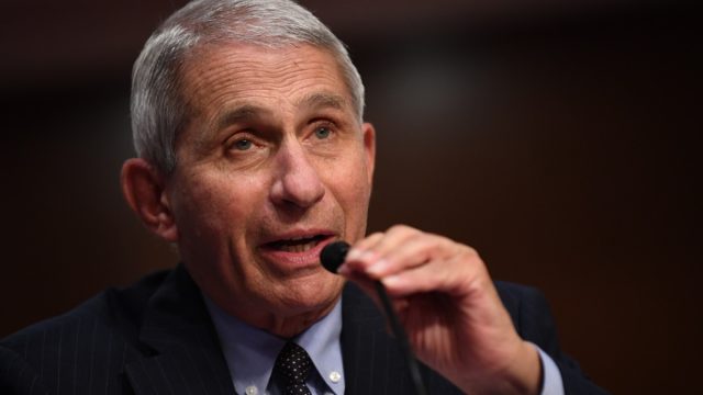Dr. Anthony Fauci, director of the National Institute for Allergy and Infectious Diseases, testifies at a hearing of the Senate Health, Education, Labor and Pensions Committee on June 30, 2020 in Washington, DC.