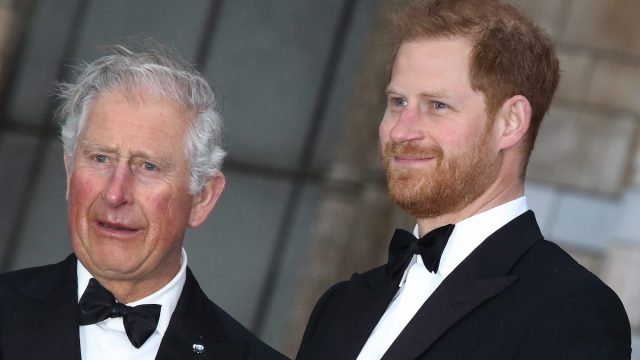 Prince Charles and Prince Harry at the premiere of "Our Planet" in 2019