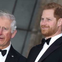 Prince Charles and Prince Harry at the premiere of "Our Planet" in 2019