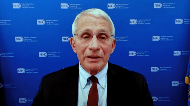 fauci warning against inviting unvaccinated people to gatherings
