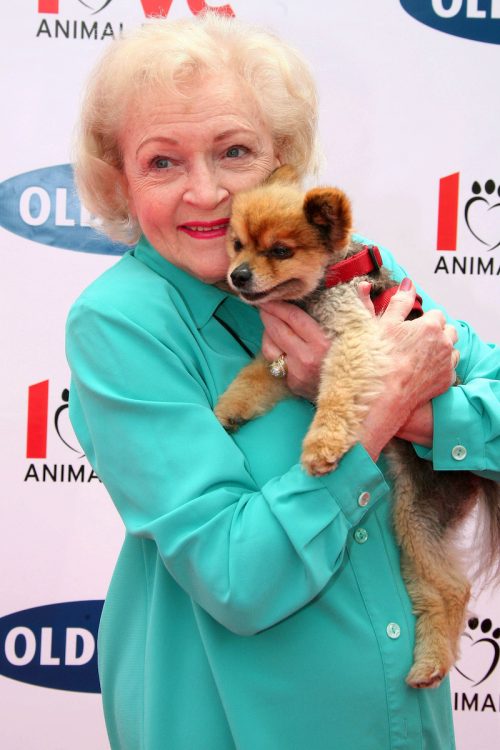 Betty White holding a puppy at the Old Navy Nationwide Search for a New Canine Mascot in 2006