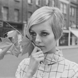 Twiggy photographed holding a leaf