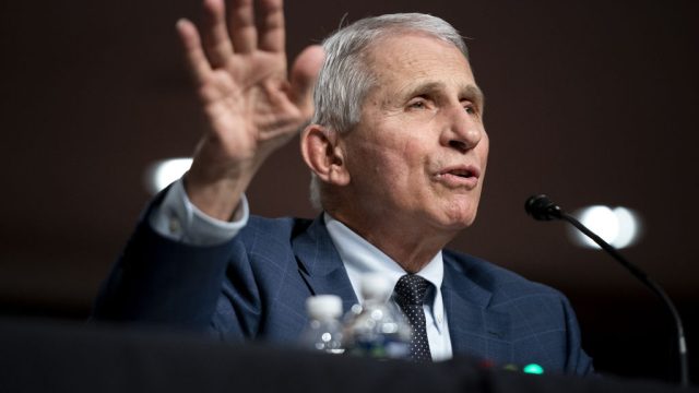 Dr. Anthony Fauci testifying before Congress