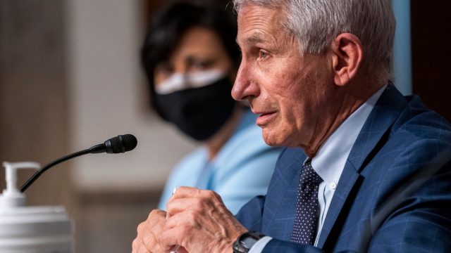 Dr. Anthony Fauci, Director of the National Institute of Allergy and Infectious Diseases and chief medical adviser to the President, testifies during a Senate Health, Education, Labor, and Pensions Committee hearing on Capitol Hill on January 11, 2022 in Washington, D.C. The committee will hear testimony about the federal response to COVID-19 and new, emerging variants.