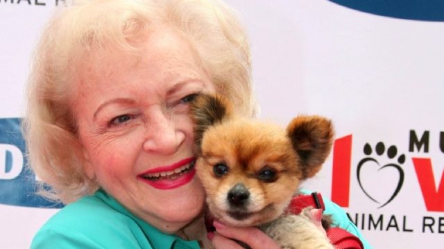 betty white holding a puppy on the red carpet