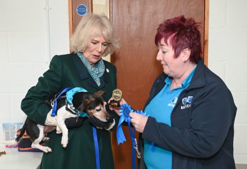 The Duchess of Cornwall holding a dog during a visit to Battersea Brand Hatch Center in February 2022