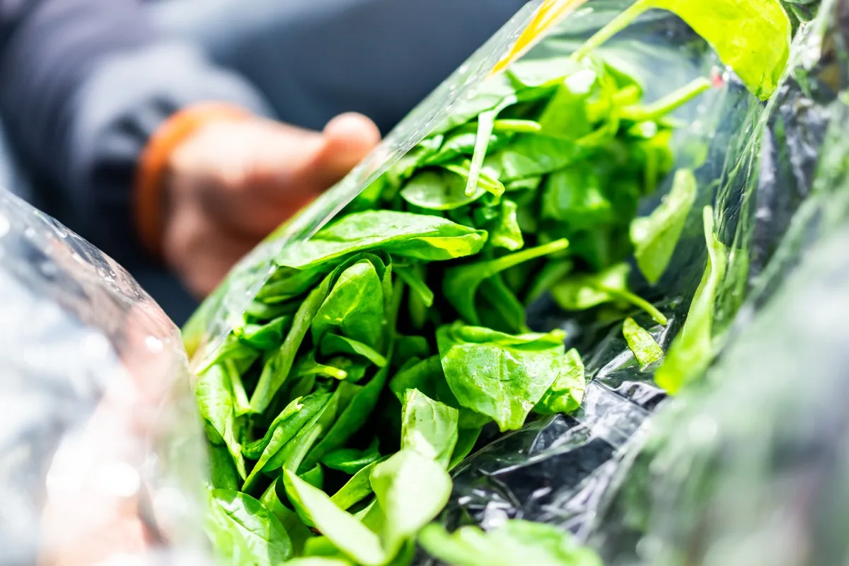 Closeup of person hands holding fresh raw, plastic packaged bag of green spinach