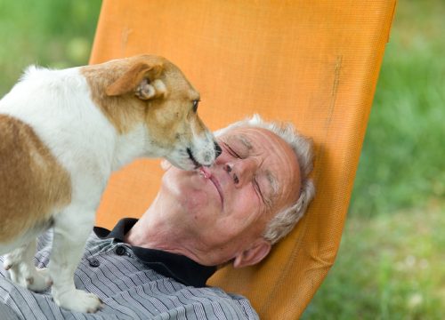 older man outside with small dog licking his face