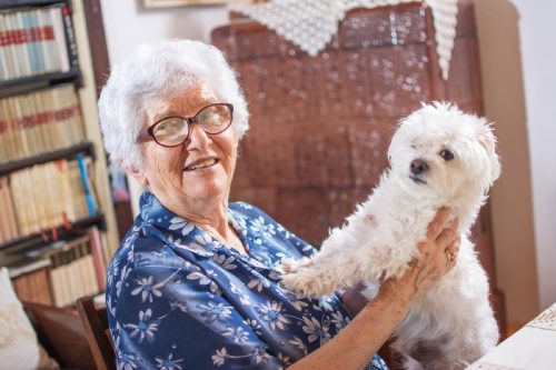 older woman smiling while holding maltese dog