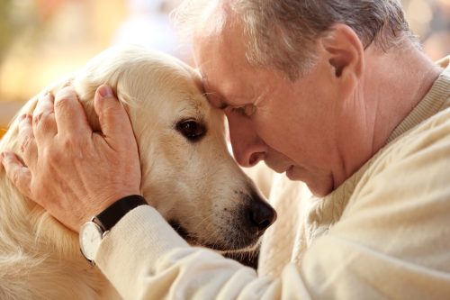 older man putting his face against his dog