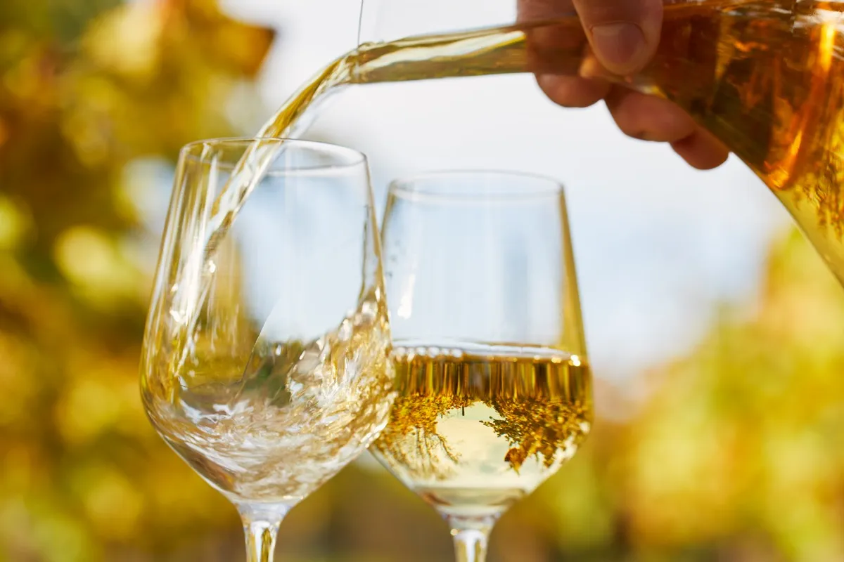 Pouring white wine into glasses in autumn day, soft focus
