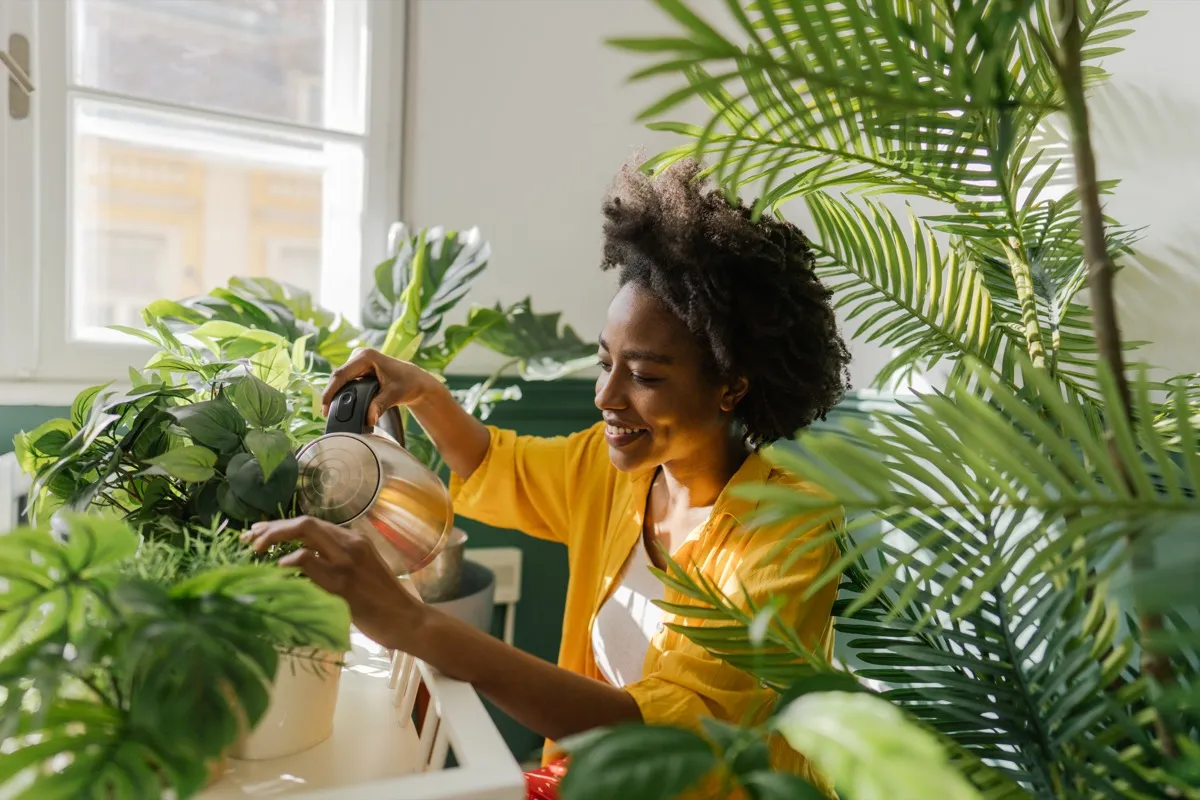 moteris, besirūpinanti savo kambariniais augalais