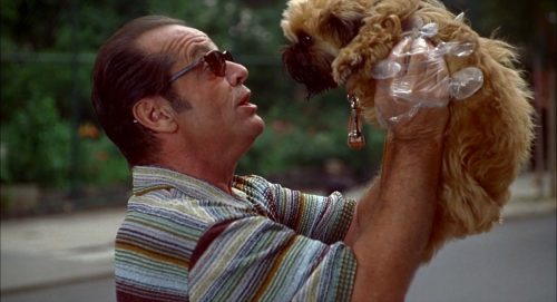 Jack Nicholson and his dog in As Good as It Gets