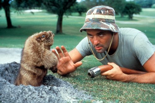 Bill Murray and gopher on a golf course at Caddyshack