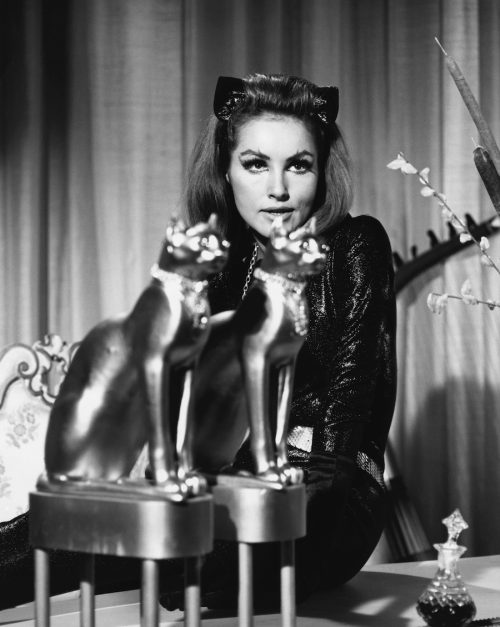 Julie Newmar as Catwoman in the 1960s
