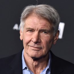 Harrison Ford at the "Star Wars: Rise of Skywalker" premiere in 2019