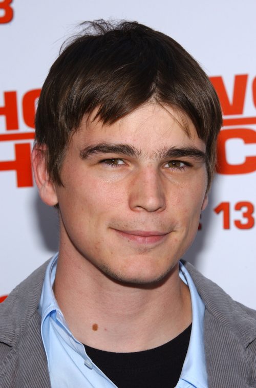 Josh Hartnett at the premiere of "Hollywood Homicide" in 2003