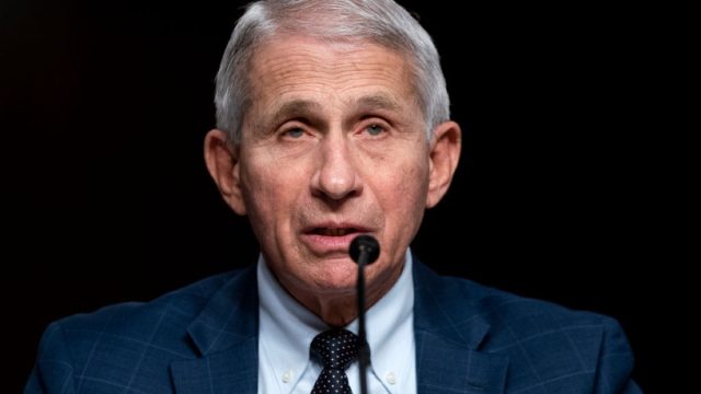 anthony fauci testifying in front of congress