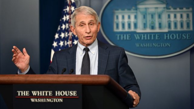 anthony fauci at a white house press briefing