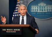 anthony fauci at a white house press briefing