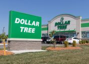 The exterior signage of a Dollar Tree store