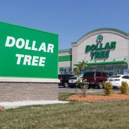 The exterior signage of a Dollar Tree store